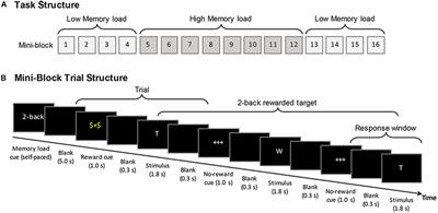 Comparing Effects of Reward Anticipation on Working Memory in Younger and Older Adults